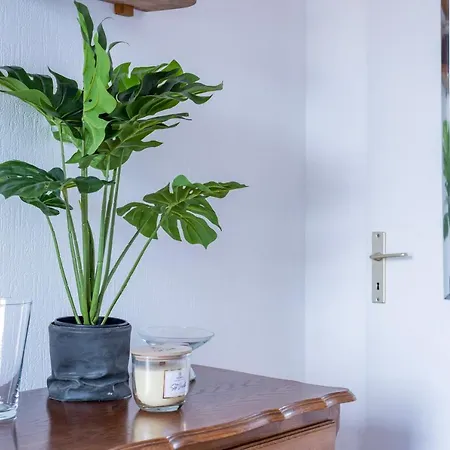 Le Batelier - Hyper-centre, Vue Unique Cathedrale 公寓 *