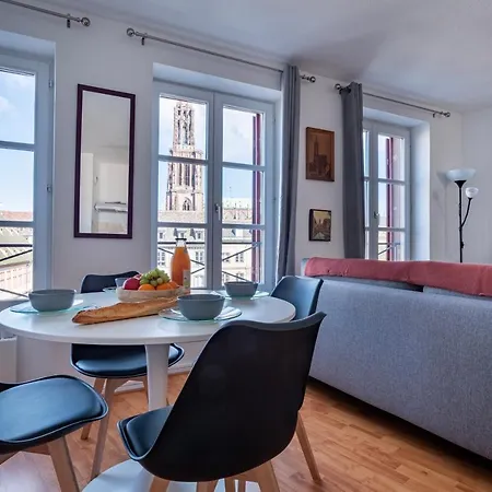 Le Batelier - Hyper-centre, Vue Unique Cathedrale * 斯特拉斯堡