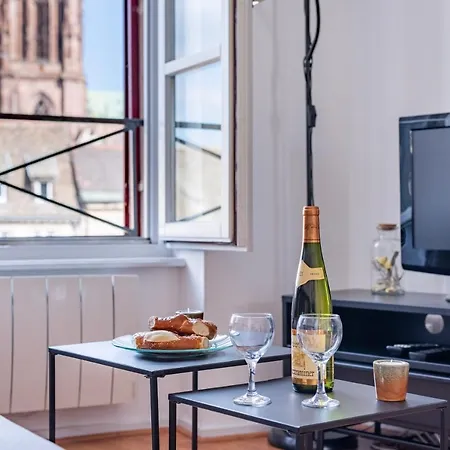 Le Batelier - Hyper-centre, Vue Unique Cathedrale Apartment Strasbourg